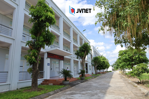 Trung tâm XKLĐ Nhật Bản – Cầu Nối Tin Cậy Đưa Người Lao Động Việt Nam Đến Với Thị Trường Đầy Cơ Hội